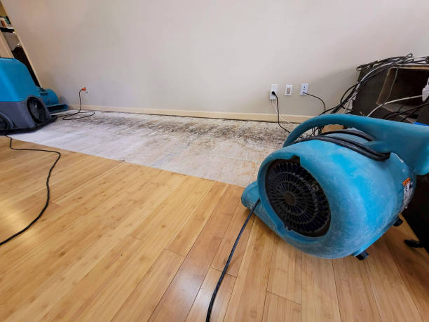 Professional Water Damage Repair technician working in Silver Lake, NH